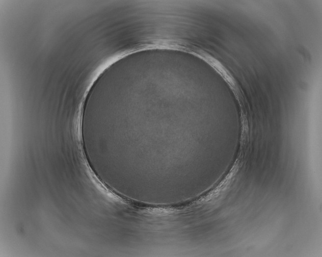 X0000112781246200908201522