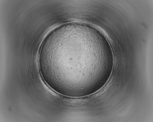X0000112781247200908201522