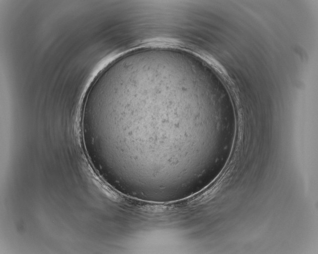 X0000112781248200908201522
