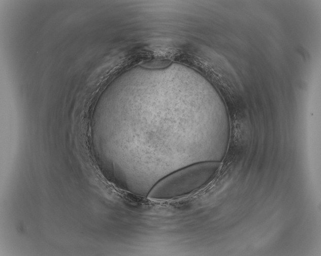 X0000112781249200908201522