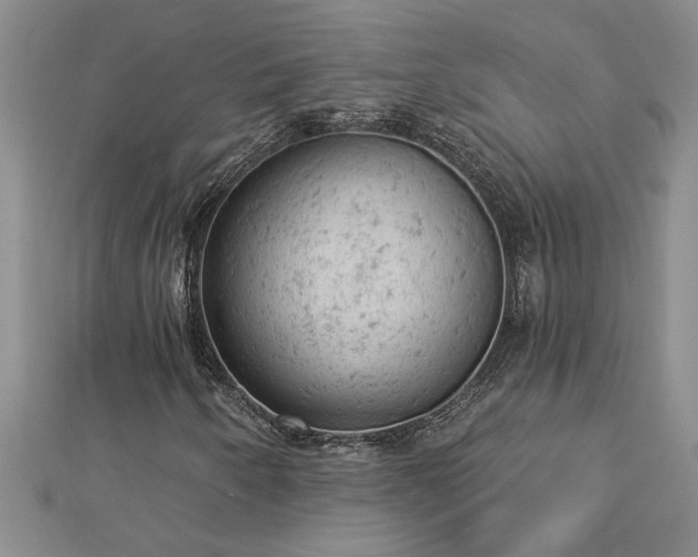 X0000112781250200908201522