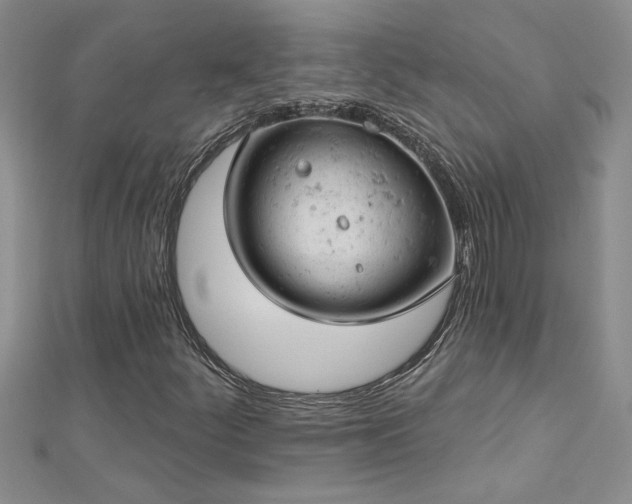 X0000112781252200908201522