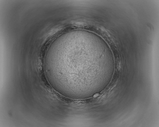 X0000112781253200908201522