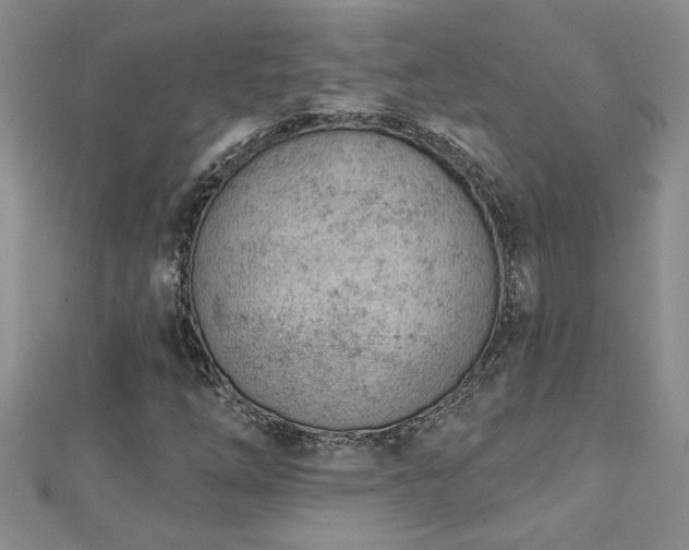 X0000112781254200908201521