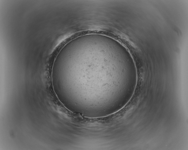 X0000112781256200908201521