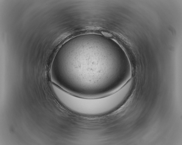 X0000112781257200908201521