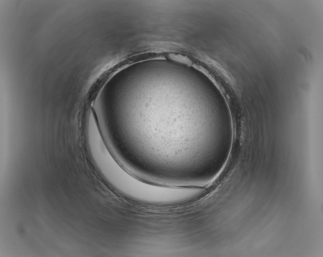 X0000112781261200908201521