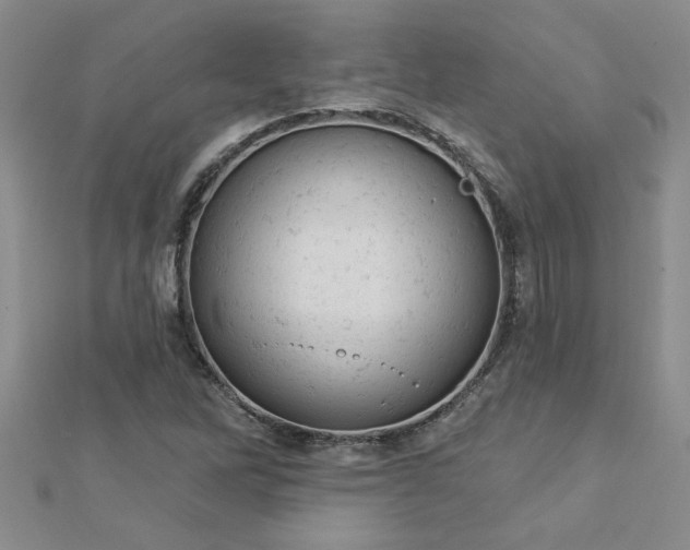 X0000112781262200908201521