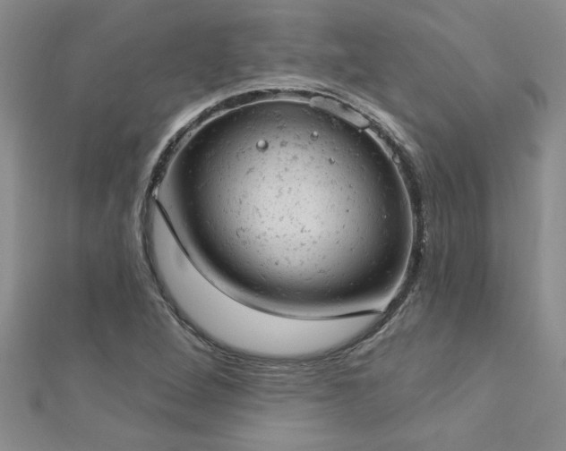 X0000112781264200908201521