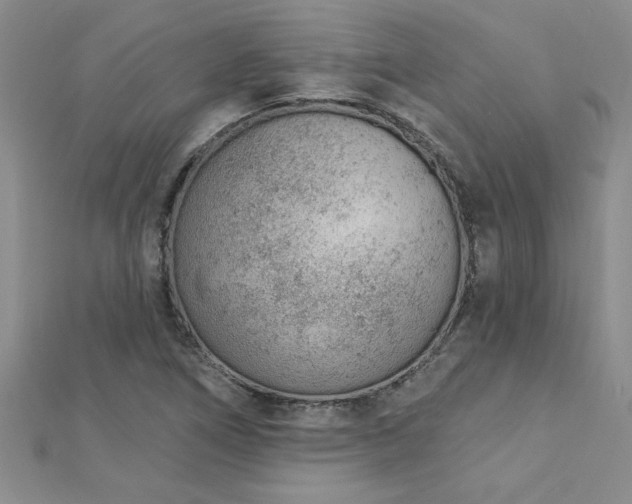 X0000112781266200908201521