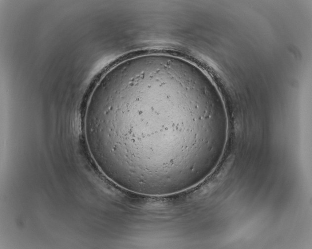 X0000112781267200908201521