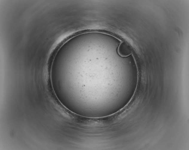X0000112781270200908201521