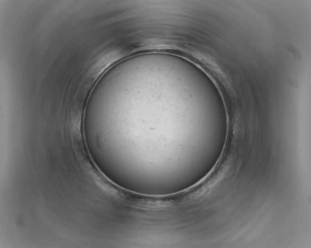 X0000112781273200908201521