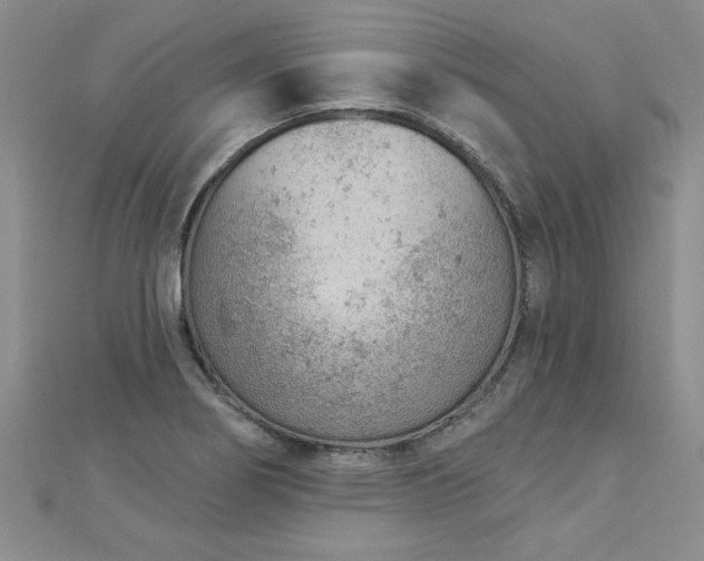 X0000112781274200908201521