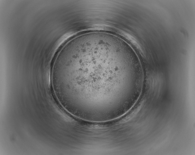 X0000112781275200908201521