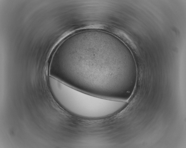 X0000112781276200908201521