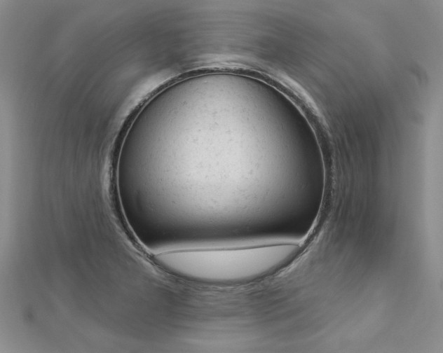X0000112781277200908201521