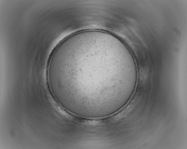 X0000112781278200908201521