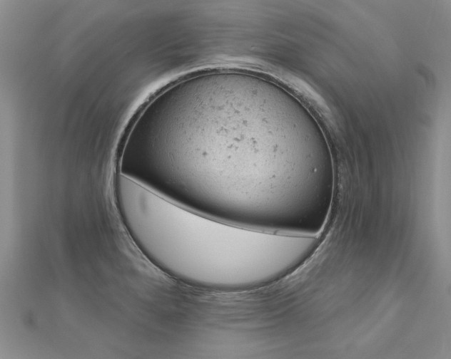 X0000112781280200908201521