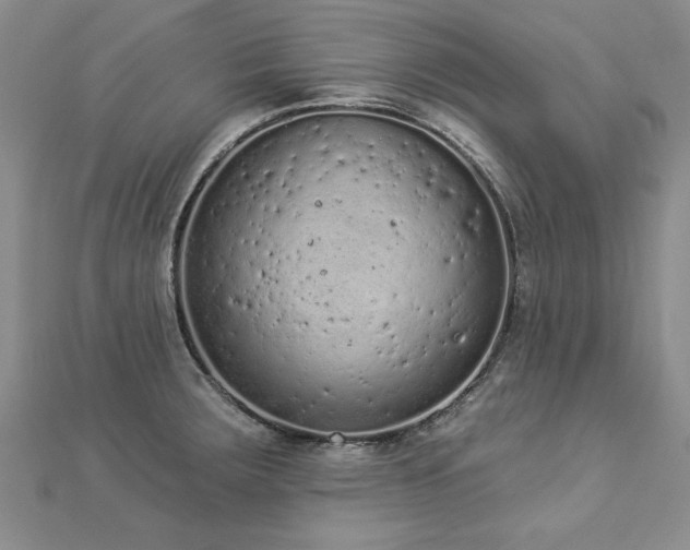 X0000112781283200908201521
