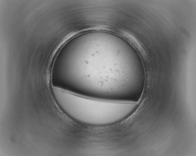 X0000112781284200908201521