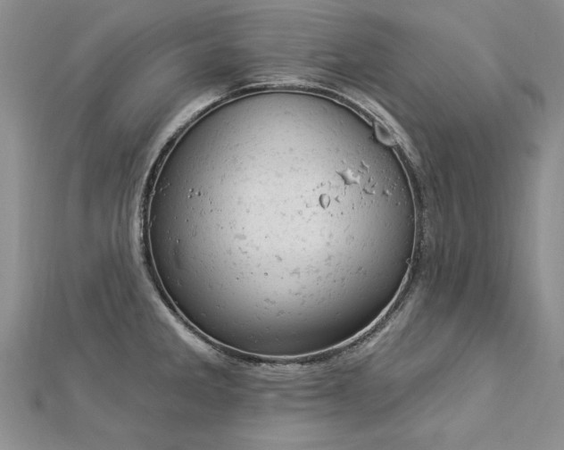 X0000112781285200908201521