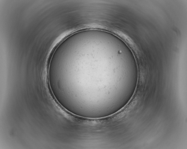 X0000112781286200908201521