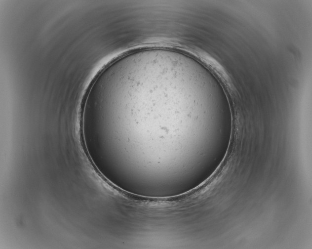 X0000112781288200908201521