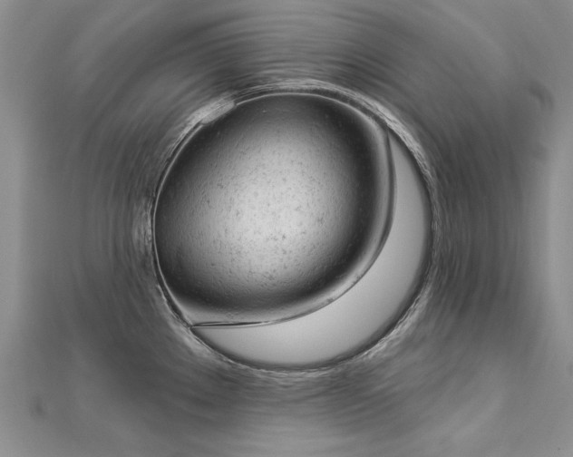X0000112781289200908201521