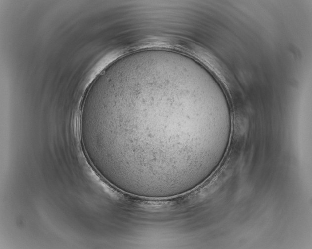 X0000112781290200908201521