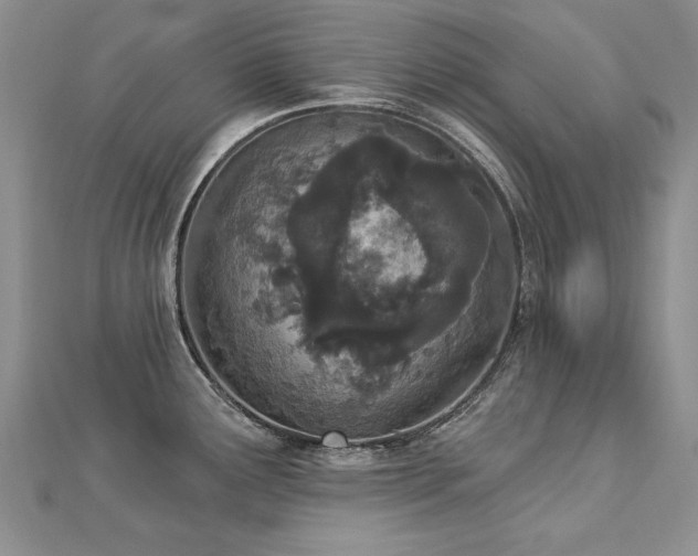 X0000112781291200908201521
