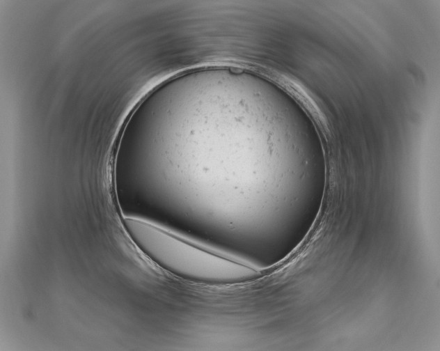 X0000112781292200908201521