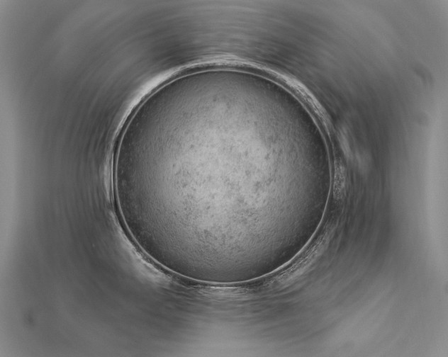 X0000112781295200908201521