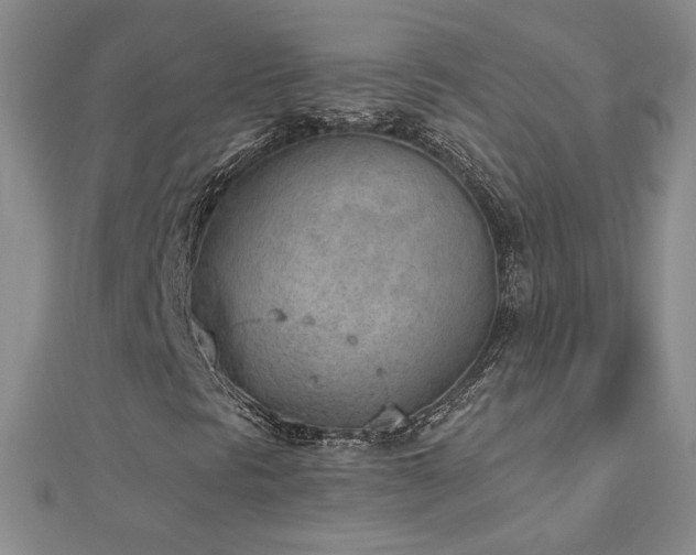X0000112781297200908201520