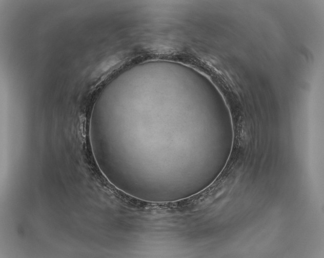X0000112781301200908201520
