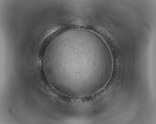 X0000112781302200908201520
