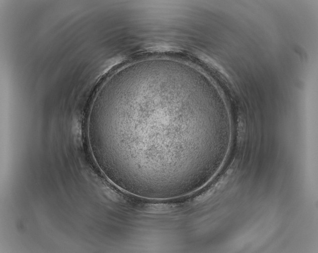X0000112781305200908201520
