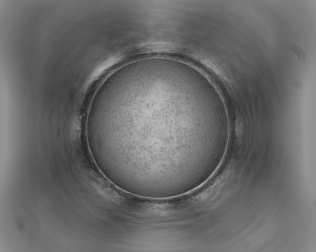 X0000112781309200908201520