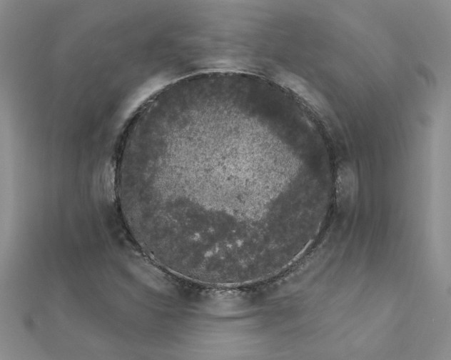 X0000112781310200908201520