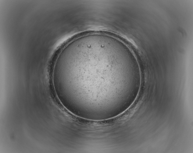 X0000112781311200908201520