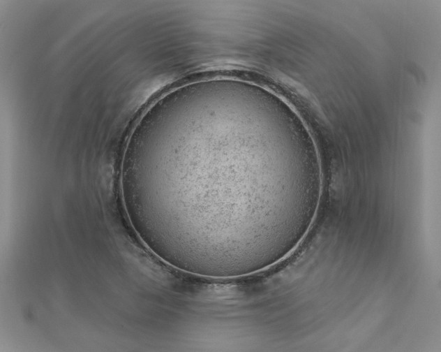 X0000112781313200908201520