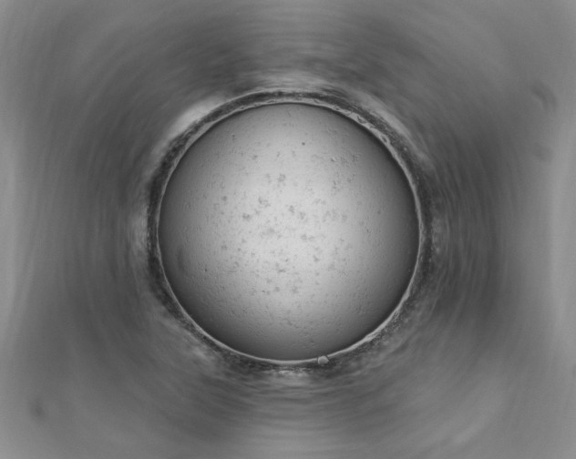 X0000112781315200908201520