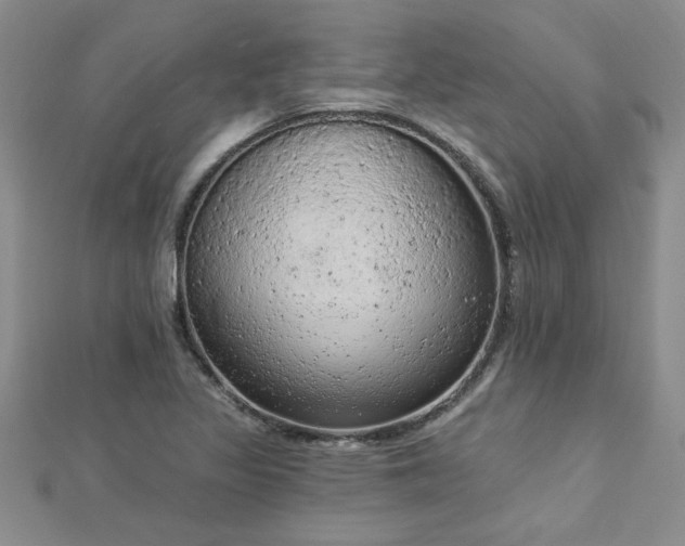 X0000112781317200908201520