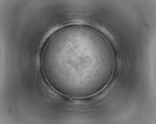 X0000112781318200908201520