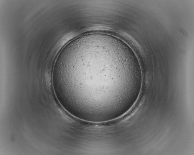 X0000112781321200908201520