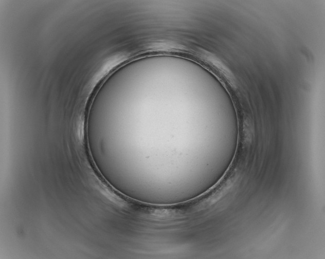 X0000112781322200908201520