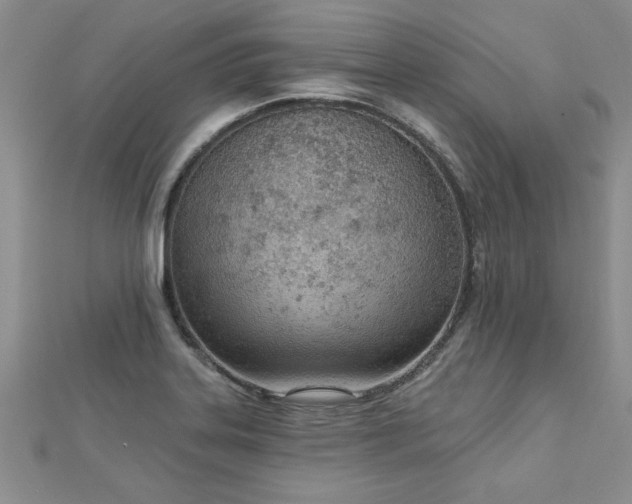 X0000112781323200908201520