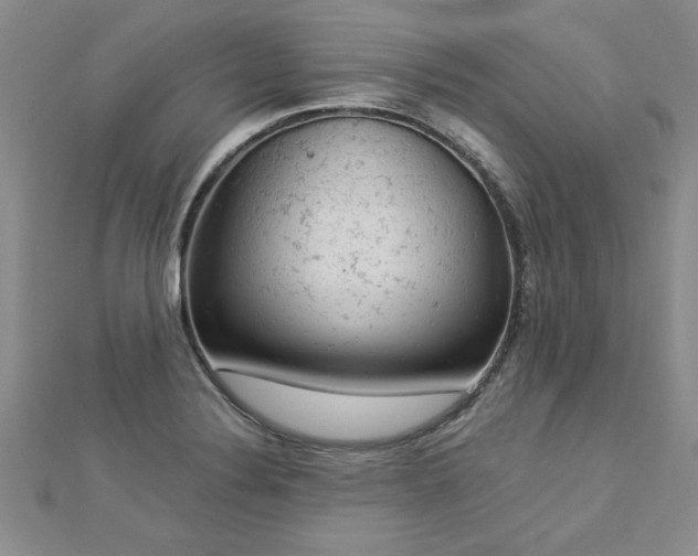 X0000112781324200908201521