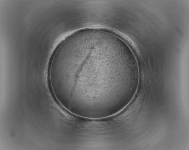X0000112781327200908201521