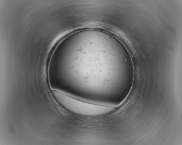 X0000112781328200908201521